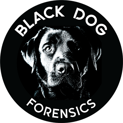 Black Dog